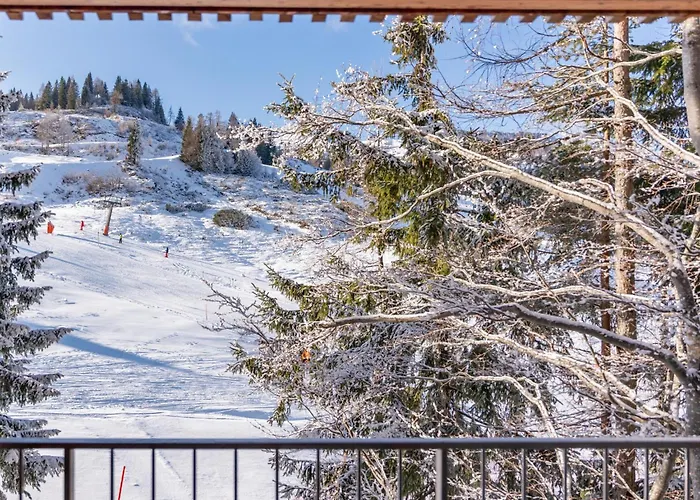 Apartament Zirbenlodge B01 *